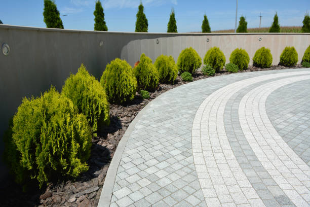 Best Driveway Pavers Near Me  in South Valley, NM