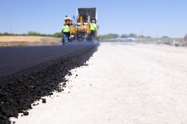 Best Professional Driveway Pavers  in South Valley, NM